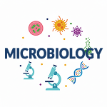 Microbiology Illustration